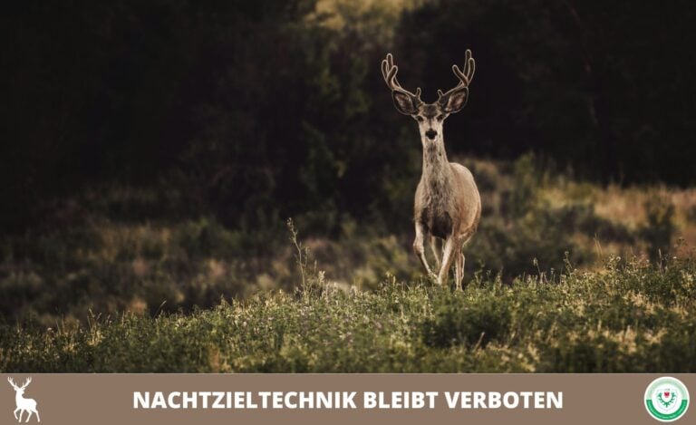 Kreisjagdverein SPN Cottbus eV - Nachtzieltechnik bleibt verboten