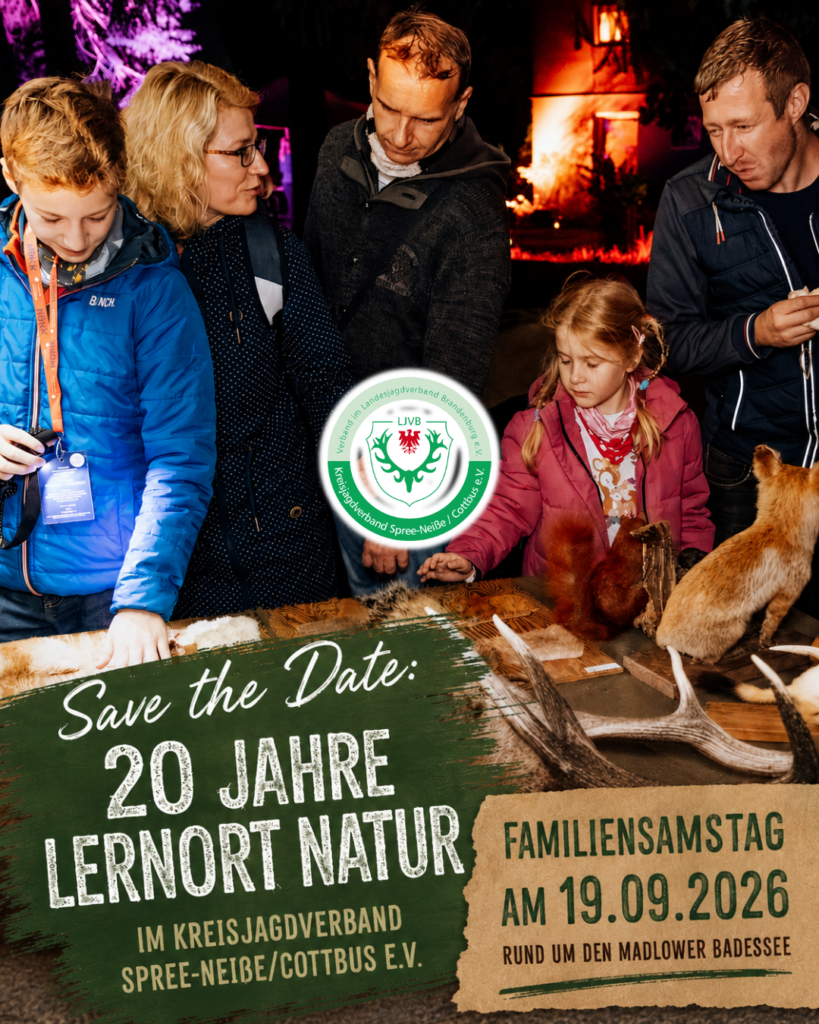 Familiensamstag Madlower Badesee